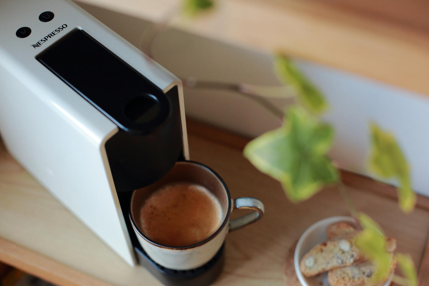 Hands holding bowl of Japanese soba noodles with vegetables in warm natural light