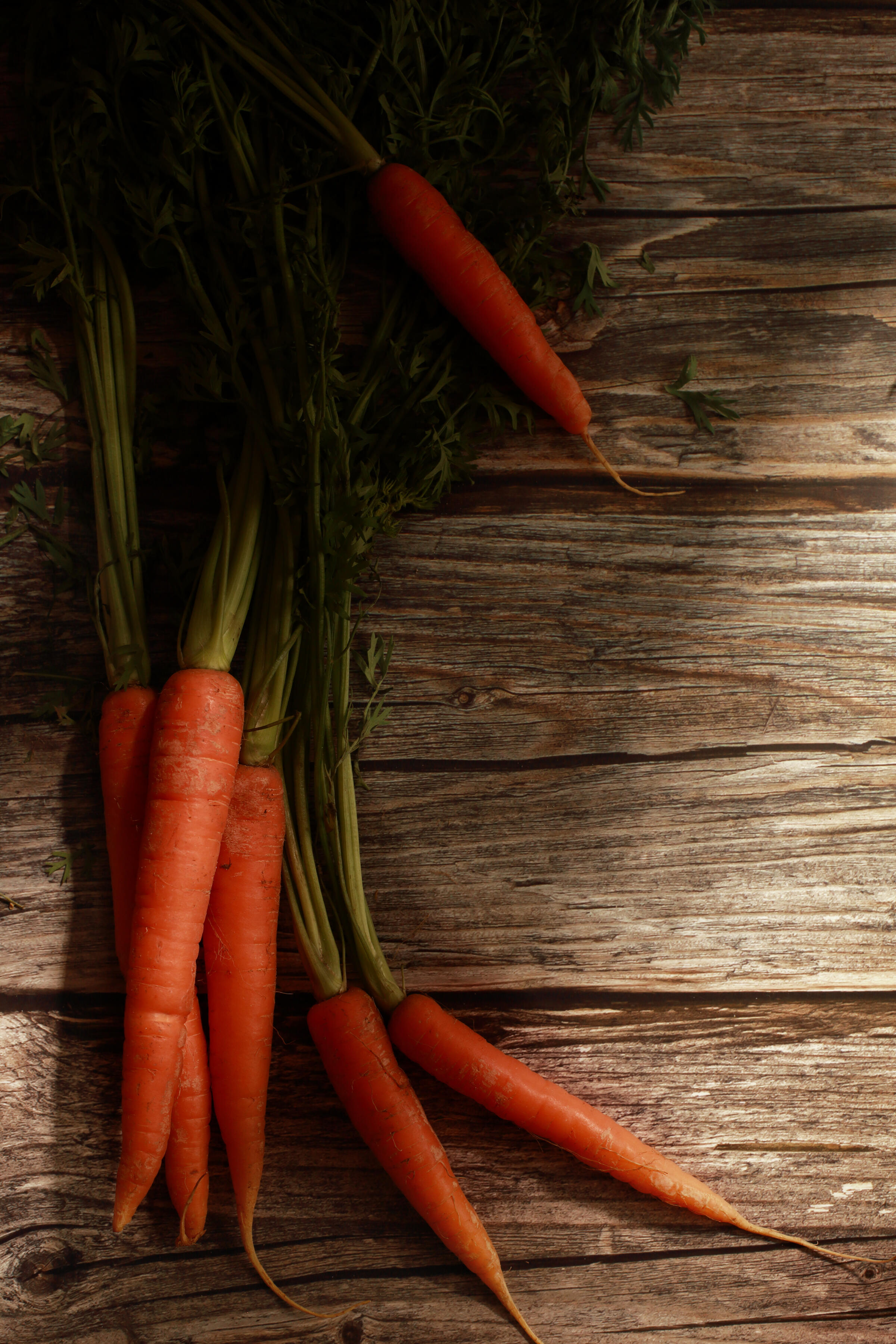Fresh carrot with leaves on wooden surface in natural food photography