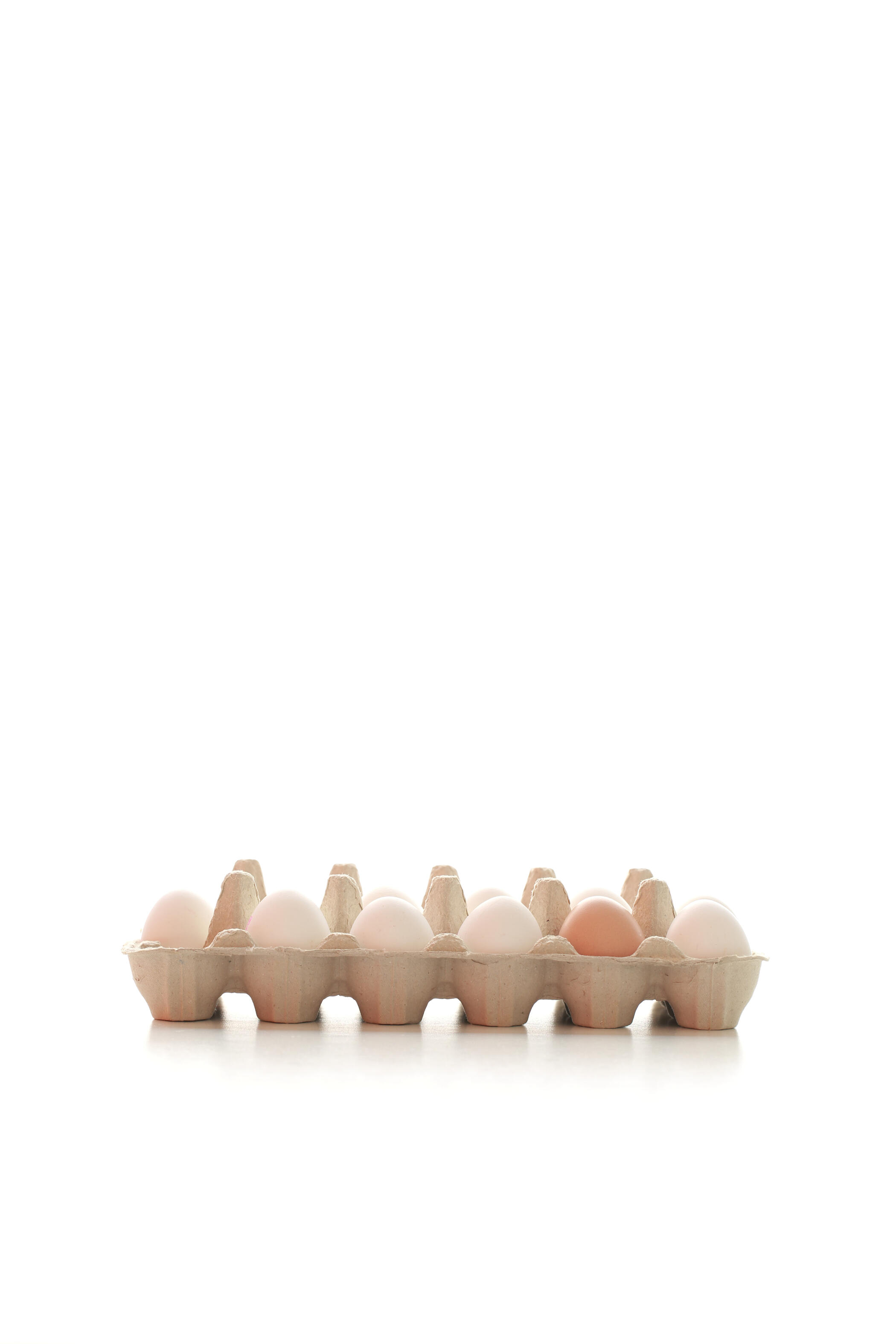 Egg contrast Minimal egg carton with one brown egg among white eggs on bright white background
